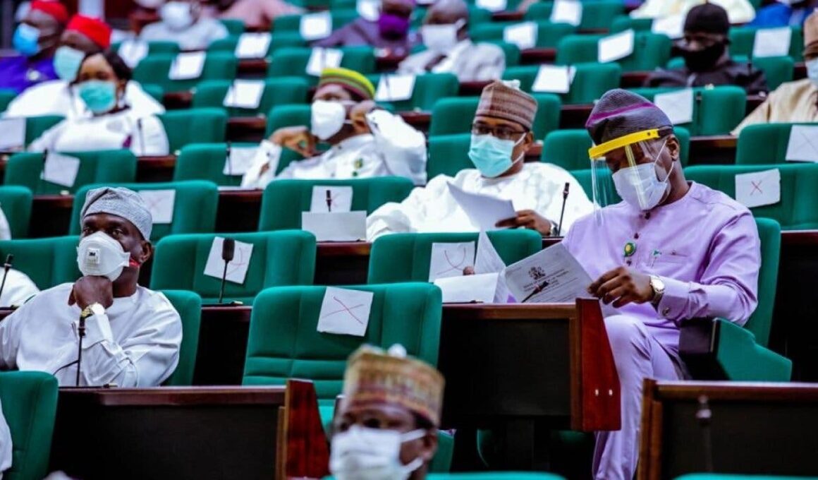 Reps Grill Humanitarian Affairs Minister over 2021 budget 5 Reps Grill Humanitarian Affairs Minister over 2021 budget