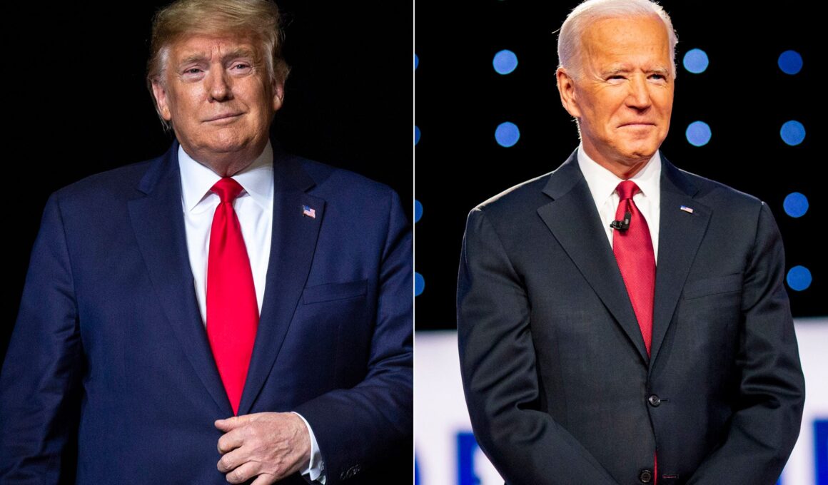 US Elections 2020: Nigeria in the picture as we await the outcome 5 donald trump us election Joe Biden picks team members, Trump accepts to start transition process