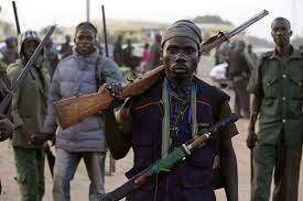 attack on farmers united nations Boko Haram Kills 43 Farmers in Borno, Nigeria