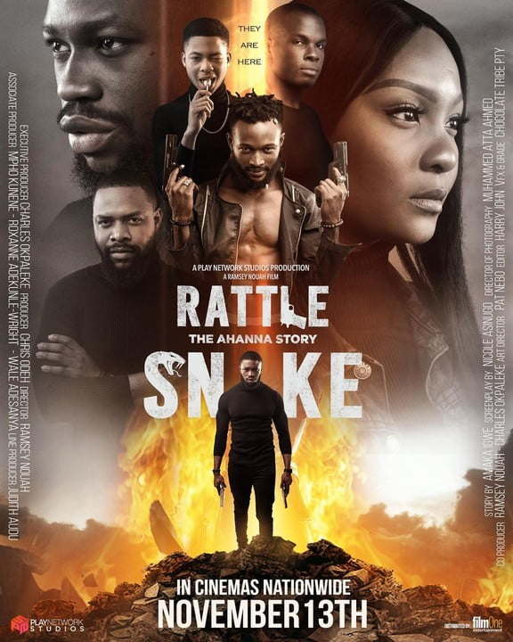 Rattlesnake The Ahanna Story Movie 5 Nigerian movies you should see this December