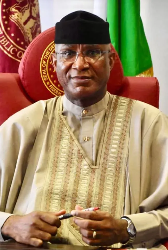 "Covid-19 disrupted our plans on constitution amendment" - Omo-Agege