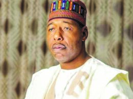 White men, Asians and Christians are part of Boko Haram members - Zulum