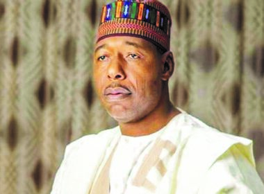 White men, Asians and Christians are part of Boko Haram members - Zulum