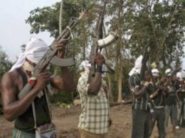 Kaduna Bandits Invade Igadi, Kill Imam, Jema community leader for condemning kidnapping, rustling