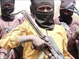 Boko Haram: New Video Shows Child Soldiers Training