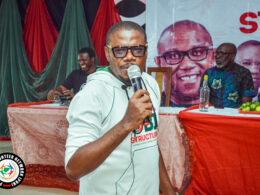 #EndBadGovernanceInNigeria Protests: A Civil Call To Save Nigeria From Extinction Obistructure Peter Obi Vounteer Network PVN