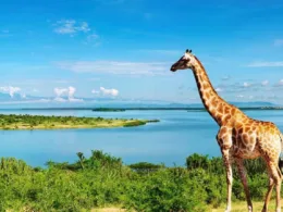 Awesome Things About Uganda, East Africa