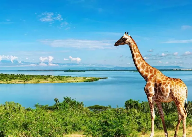 Awesome Things About Uganda, East Africa