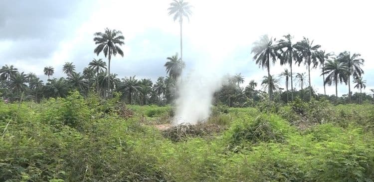 19 Persons Burnt to Death in Pipeline Explosion in Omoku, Rivers state