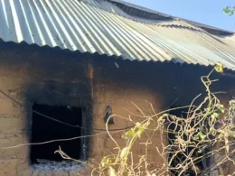 Gunmen Attack Plateau Community, Kill 115 on Christmas Eve