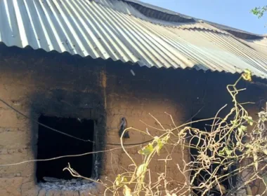 Gunmen Attack Plateau Community, Kill 115 on Christmas Eve