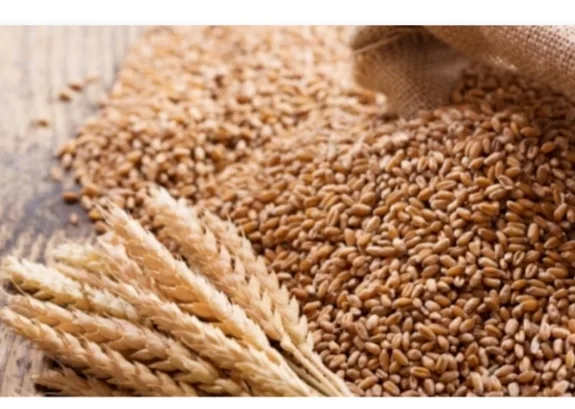 Nigeria targets 472,000 metric tonnes of wheat production