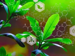 Video: Japanese Scientists Record Plants Talking to Each Other in Groundbreaking Plant Communication Research