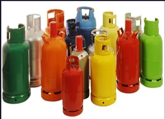 IMG 20240222 183433 jpg REPORT AFRIQUE International Federal Government Bans Cooking Gas Export to Combat Price Surge