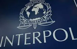 Federal Government Urges Interpol to Place Three Nigerians on Watchlist Over $6.2m Fraud