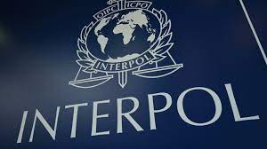 Federal Government Urges Interpol to Place Three Nigerians on Watchlist Over $6.2m Fraud