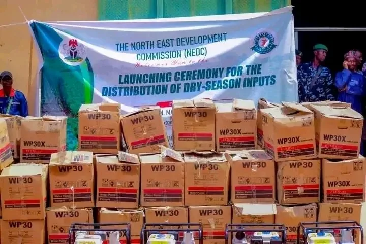 033732E5 5EAB 4329 A235 743A61989A91 jpeg REPORT AFRIQUE International Yobe State Governor Launches Dry Season Farming Initiative in Collaboration with NEDC