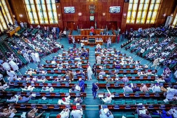House of Representatives Launches Probe into N5 Trillion Tax Default by Businesses
