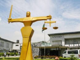 Federal High Court Orders Release of 313 Suspected Terrorists