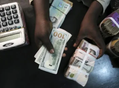 Presidency Warns: Dump Your Dollars to Avoid Tears, Naira Set to Appreciate