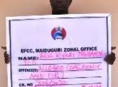 Businessman Sentenced to Prison for N99.75 Million Fraud