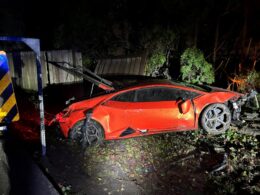 13-Year-Old Crashes $500,000 Lamborghini During Test-Drive