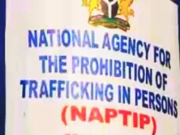 NAPTIP Arrests Fake Rev. Sister for Trafficking 38 Children