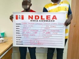 NDLEA arrests drug traffickers in multiple raids