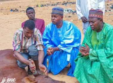 Yobe State Goes spiritual to fight Electricity Tower Vandals