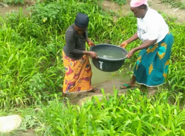 Abuja community faces diarrhea outbreak as Wike ignores them