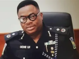 INTERPOL appoints Nigerian CP head of cybercrime unit