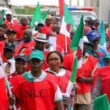 NLC rejects CBN's 0.5% cybersecurity tax, calls for reversal