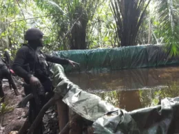 NSCDC bust illegal refinery site in Rivers, arrests three