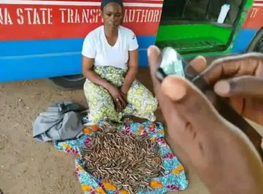 Security Forces Nab Woman Smuggling Ammunition to Terrorists in kastina