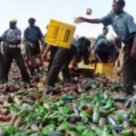 Hisbah Board seizes 142 Cartons of Alcohol in kastina state