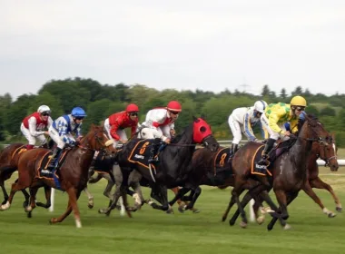 President Tinubu’s horse retains 1st place at Bida horse racing tournament