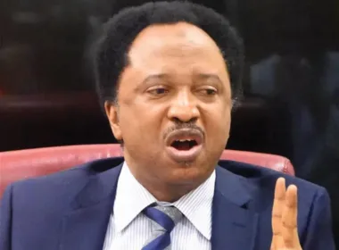 Human rights activist and former Senator Shehu Sani has shared his experience of protecting former President Olusegun Obasanjo from inmates at Kirikiri Maximum Prison in 1995.