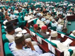 Reps accuse minister of spending N20m on sanitary pads
