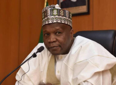 Gombe cannot pay N70,000 minimum wage - Governor Yahaya