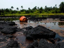 Fresh Oil Spill Hits ogoni Community, Residents Cry Out for Help