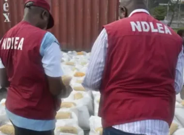 NDLEA Nabs osun community Head for alleged drug Trafficking