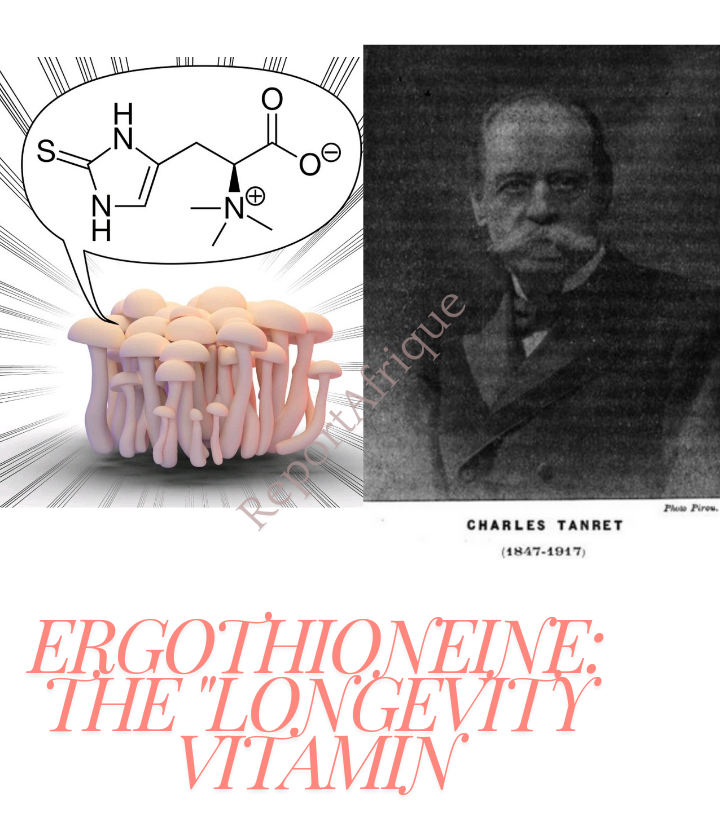 Discover The Longevity Vitamin in Mushroom That Could Change Your Life Ergothioneine: The Longevity Vitamin