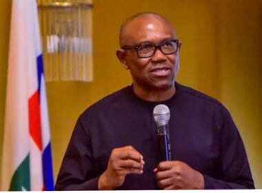 Northern Group Endorses Peter Obi for 2027 Presidential Race