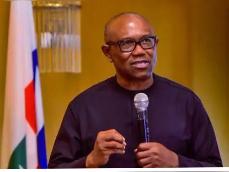 The Nigeria Labour Congress (NLC) Political Commission and its National Transition Committee have given conditional support to the Peter Obi and Governor Alex Otti-led initiative to reposition the Labour Party (LP).