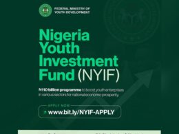 FG Relaunches N110bn Investment Fund amid Planned Protest