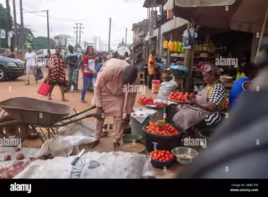 Four Killed as Trees Collapse During Storm in jattu