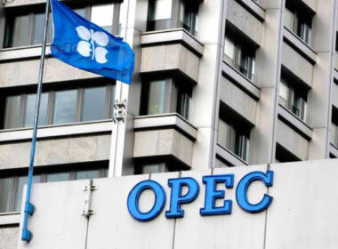 Dangote refinery will pressure Europe’s oil industry - OPEC predicts