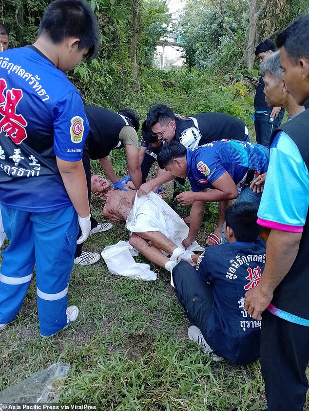 Thai Cows Take Matters Into Their Own Hands: Russian Man Mauled By Bull And Cow After Attempting To Rape Them [PHOTOS] Cow