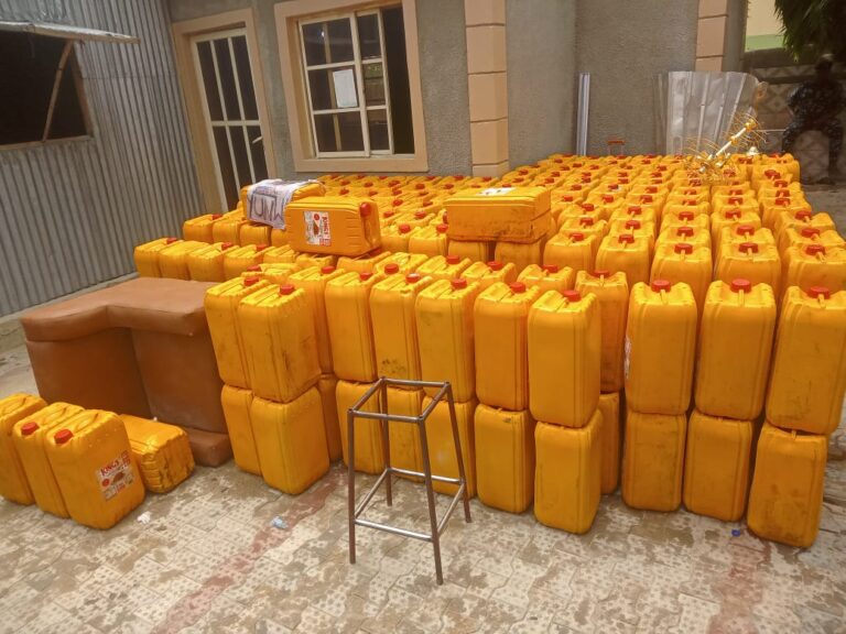 Hunger Protest: Police Parade 296 Suspects and Recover Looted Items in Kano [PHOTO] Kano