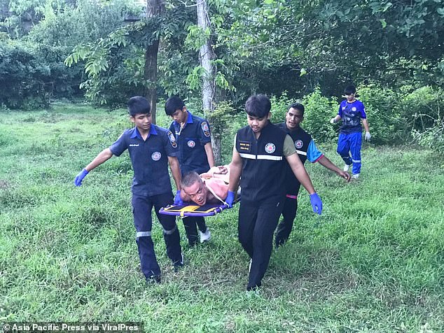Thai Cows Take Matters Into Their Own Hands: Russian Man Mauled By Bull And Cow After Attempting To Rape Them [PHOTOS] Cow